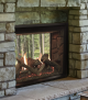 Rushmore See-Through Direct Vent Fireplace