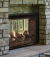 Rushmore See-Through Direct Vent Fireplace Natural Gas