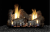 Sassafras Refractory Vent-Free Log Set