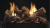 Rock Creek Refractory Multi-Sided Vent-Free Log Set